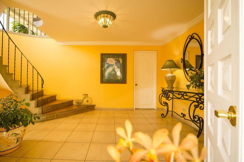 Polkerris Bed & Breakfast Montego Bay Buitenkant foto